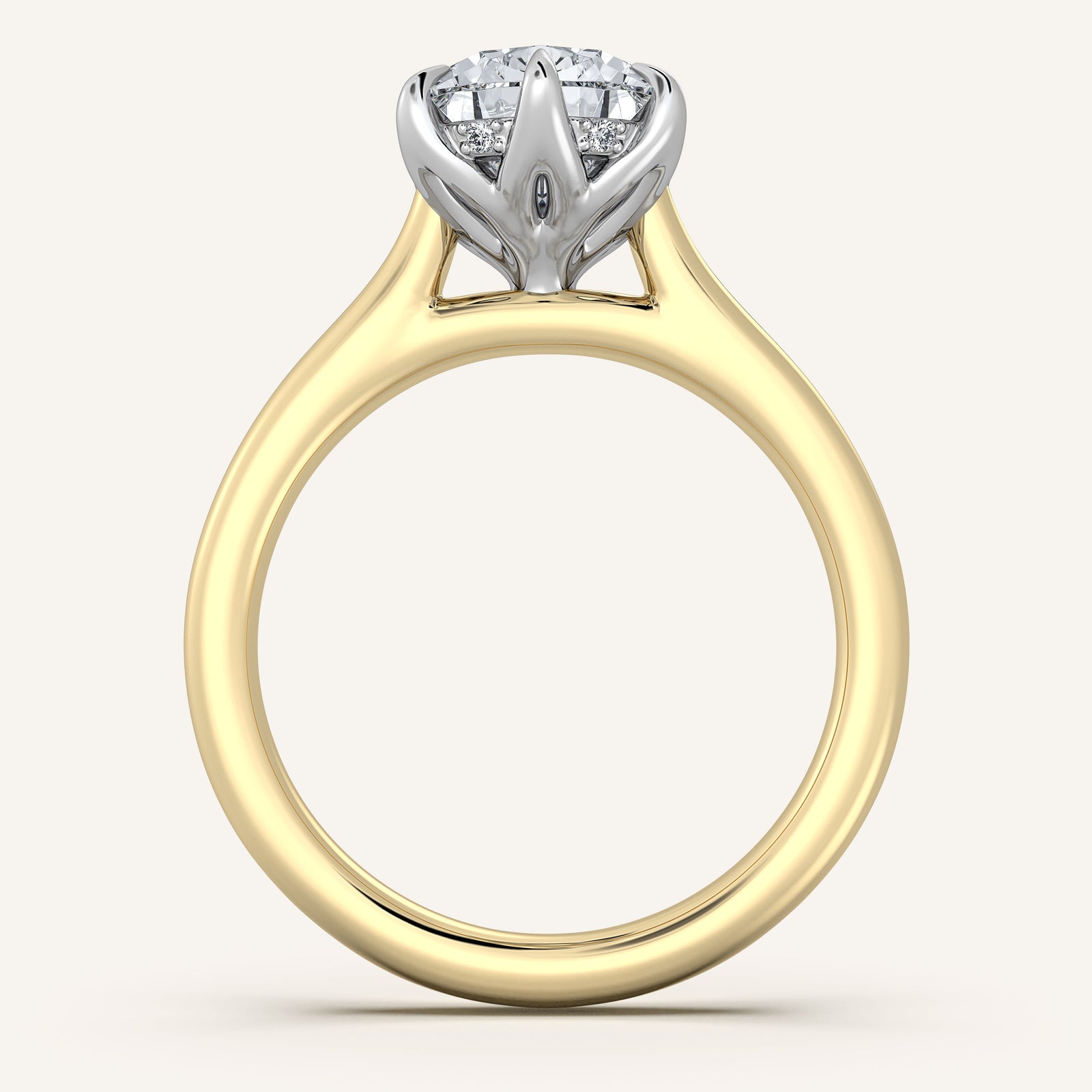 Serelle Tulip Hidden Halo