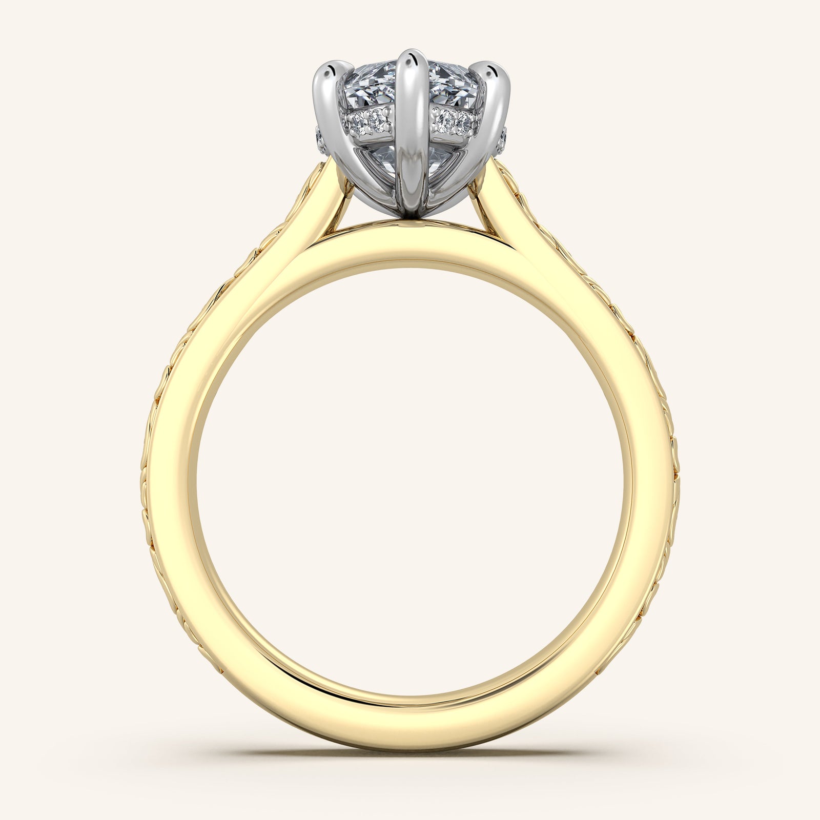 Dentelle — Engraved Cathedral