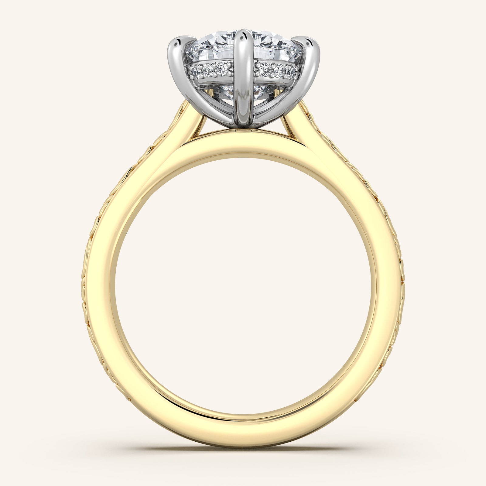 Dentelle — Engraved Cathedral