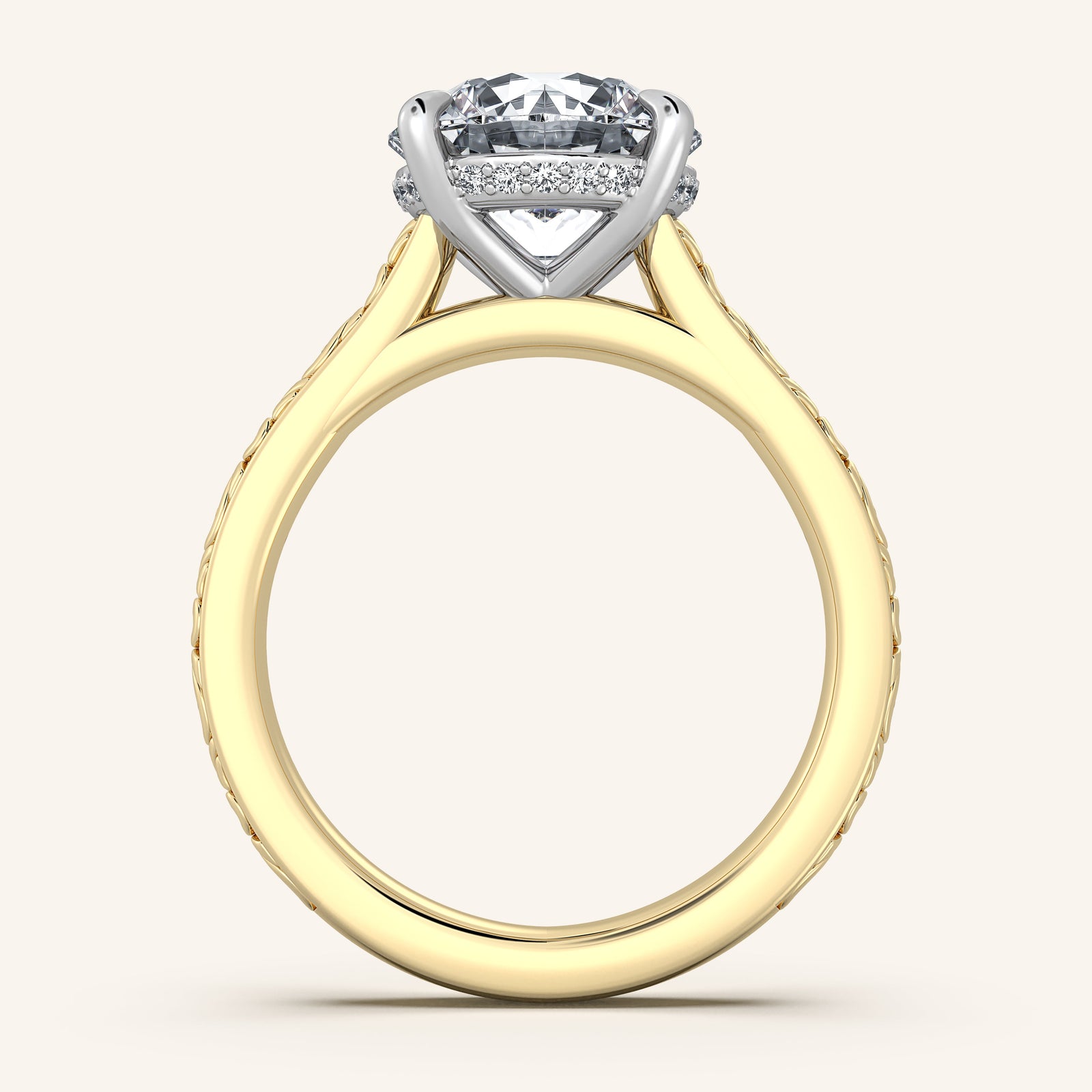 Dentelle — Engraved Cathedral