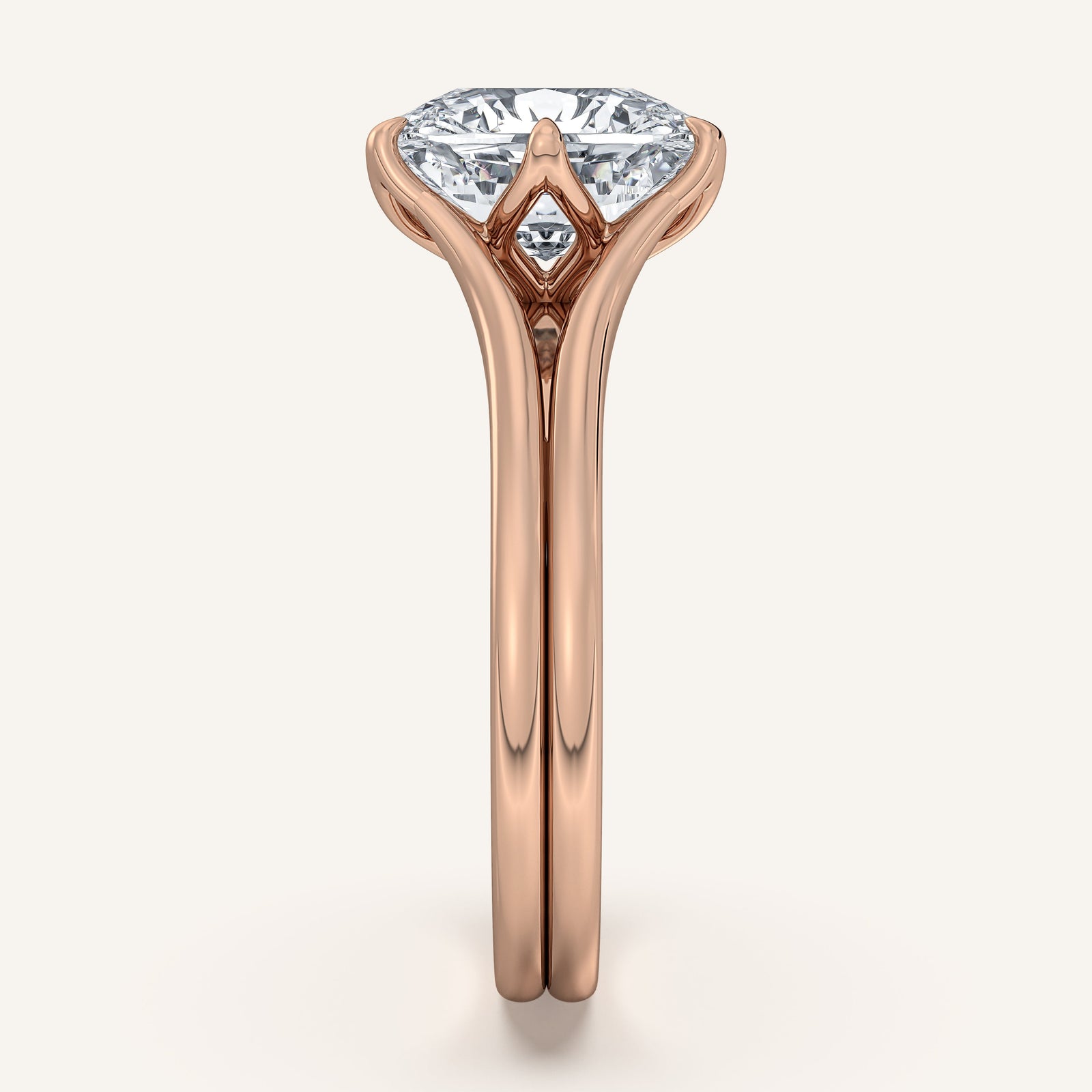 Doré — Double Band Tulip