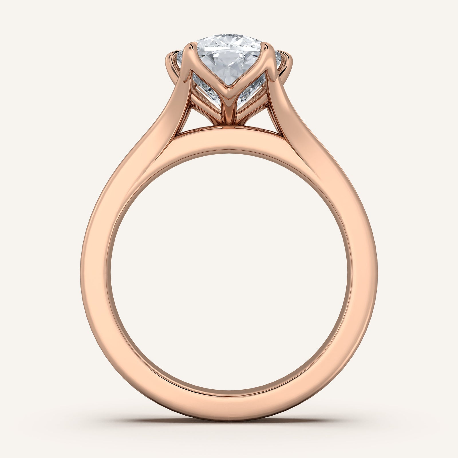 Doré — Double Band Tulip