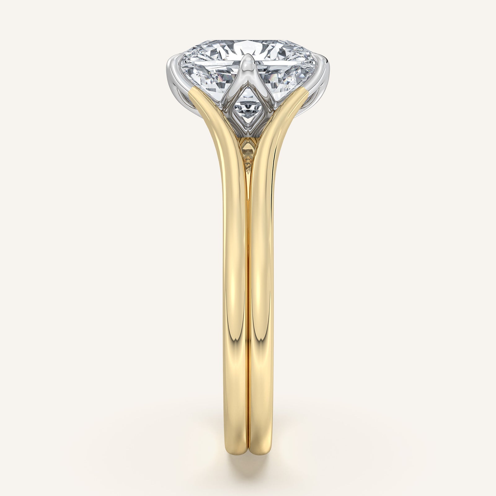 Doré — Double Band Tulip