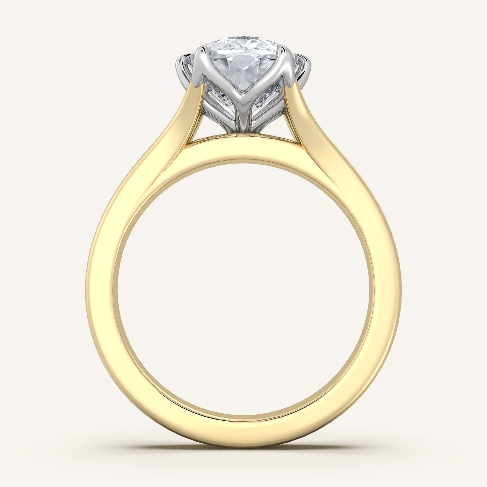 Doré — Double Band Tulip