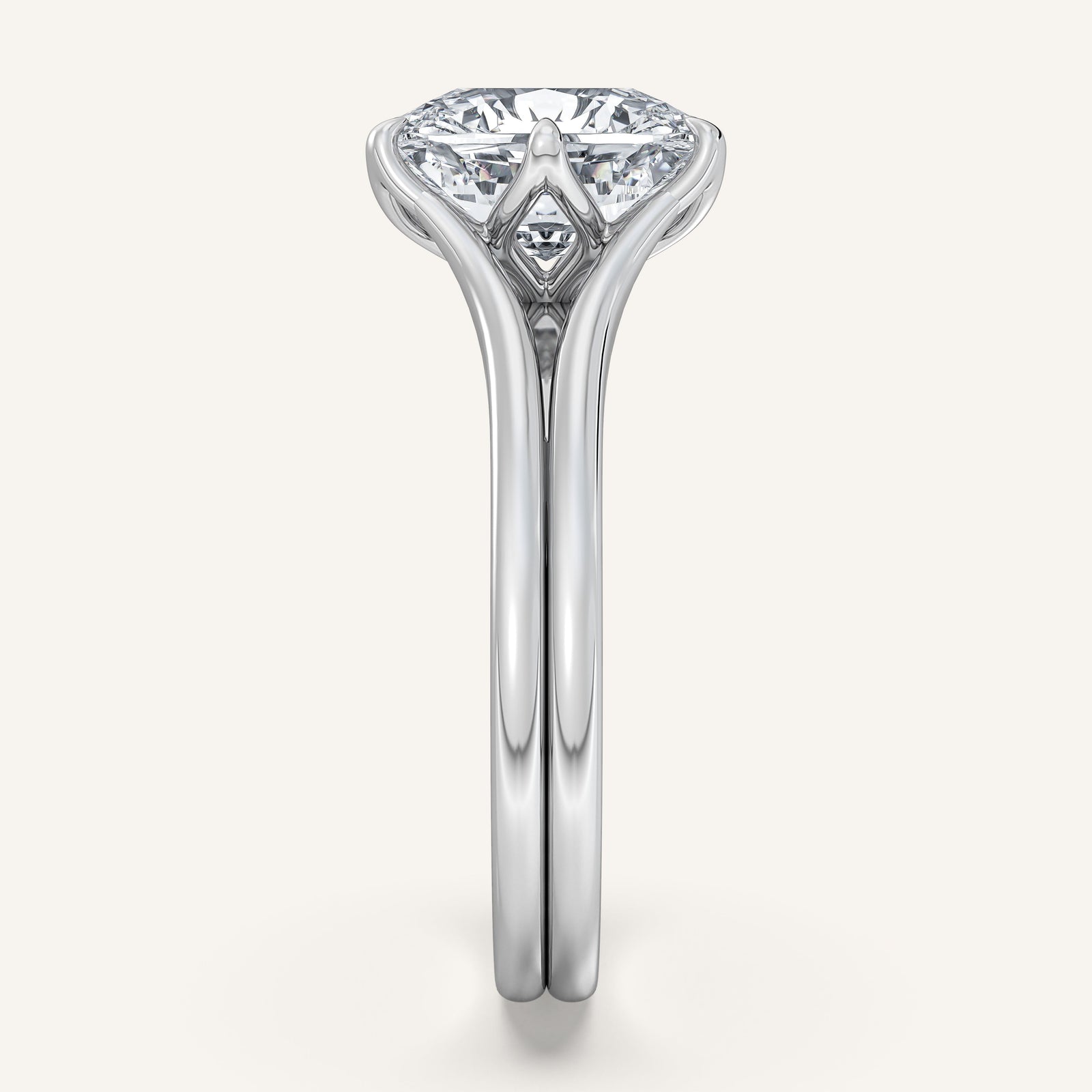 Doré — Double Band Tulip