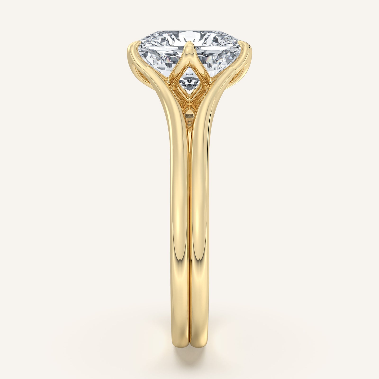 Doré — Double Band Tulip