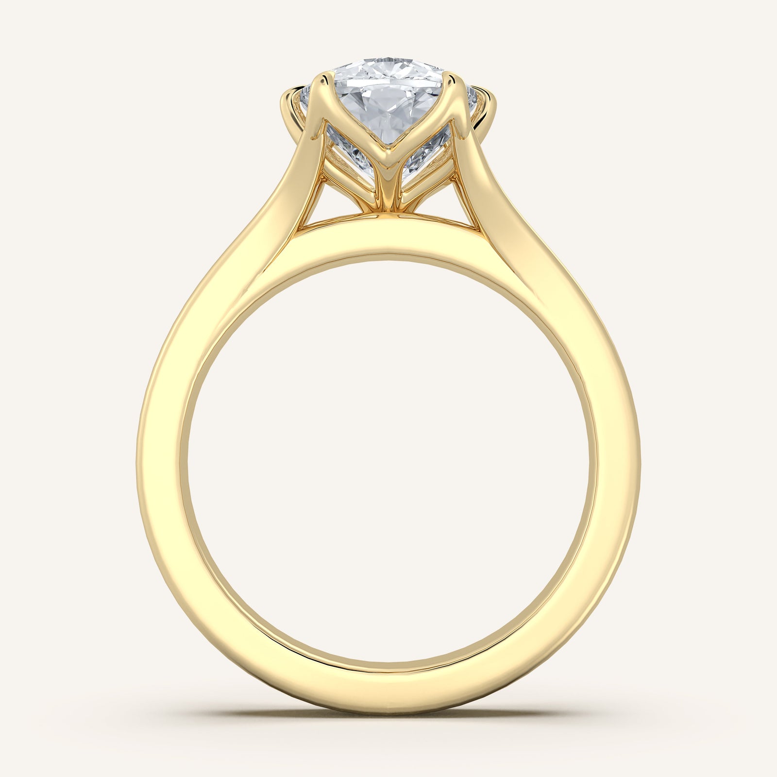 Doré — Double Band Tulip