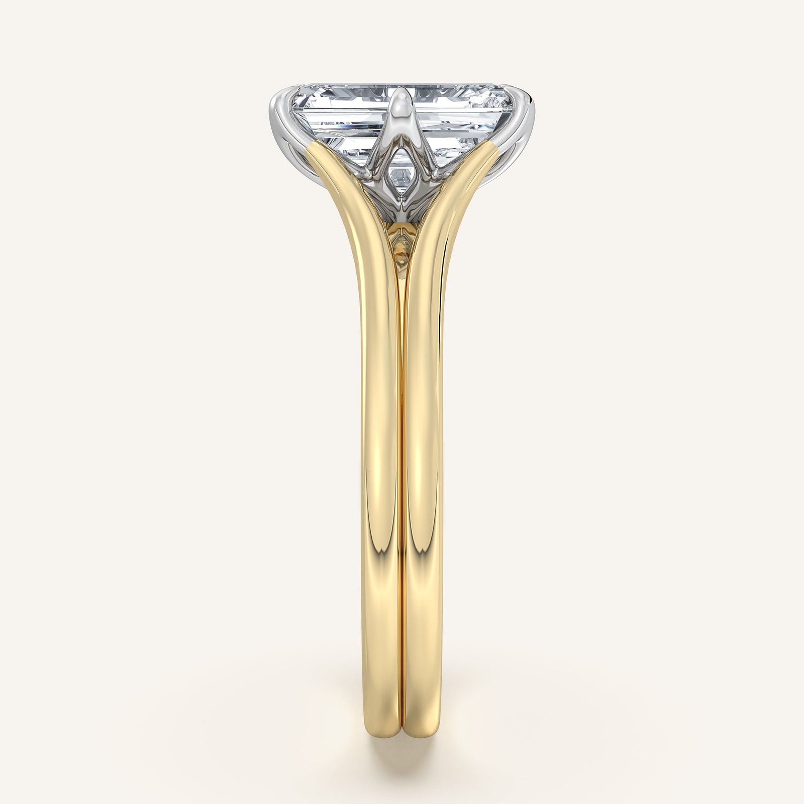 Doré — Double Band Tulip