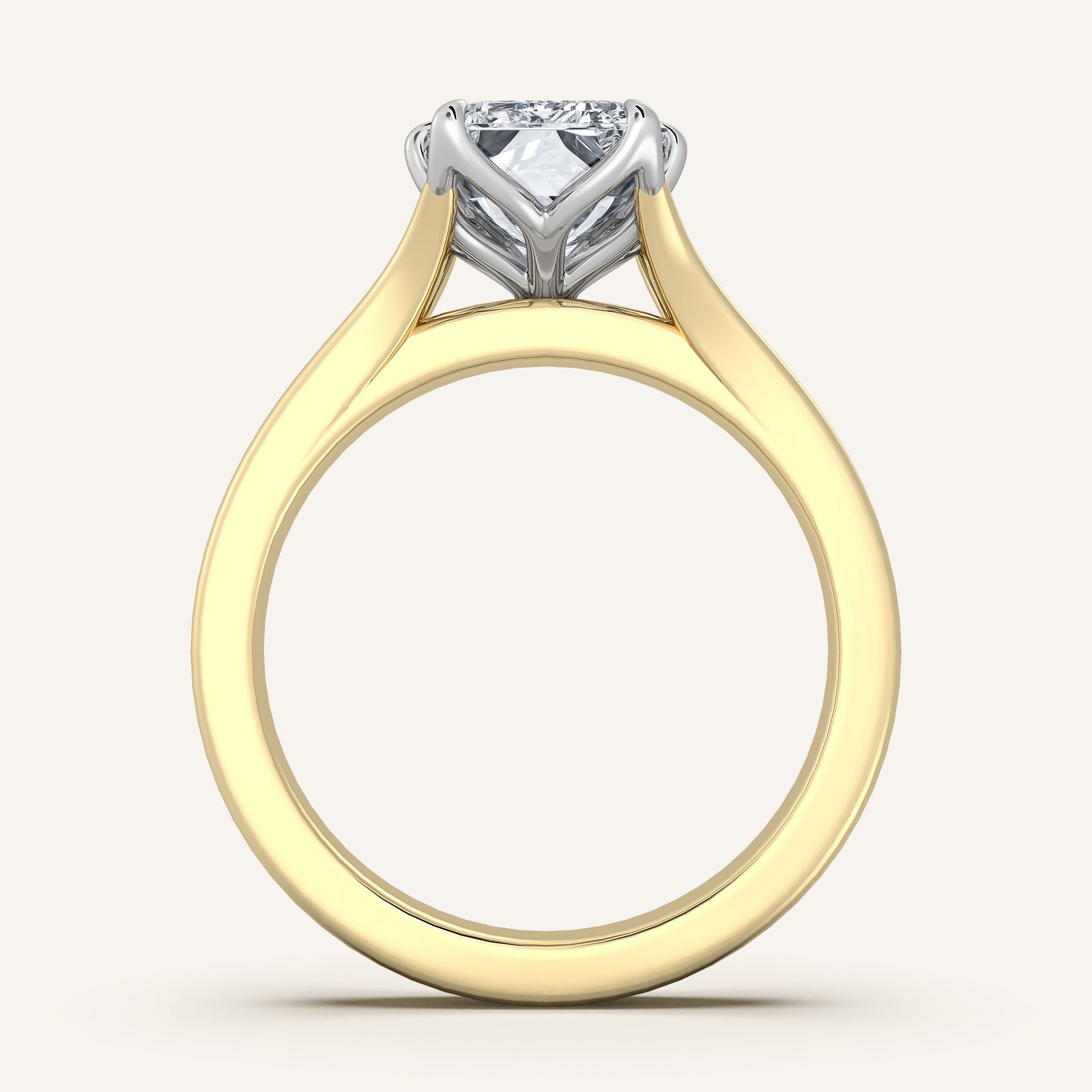 Doré — Double Band Tulip