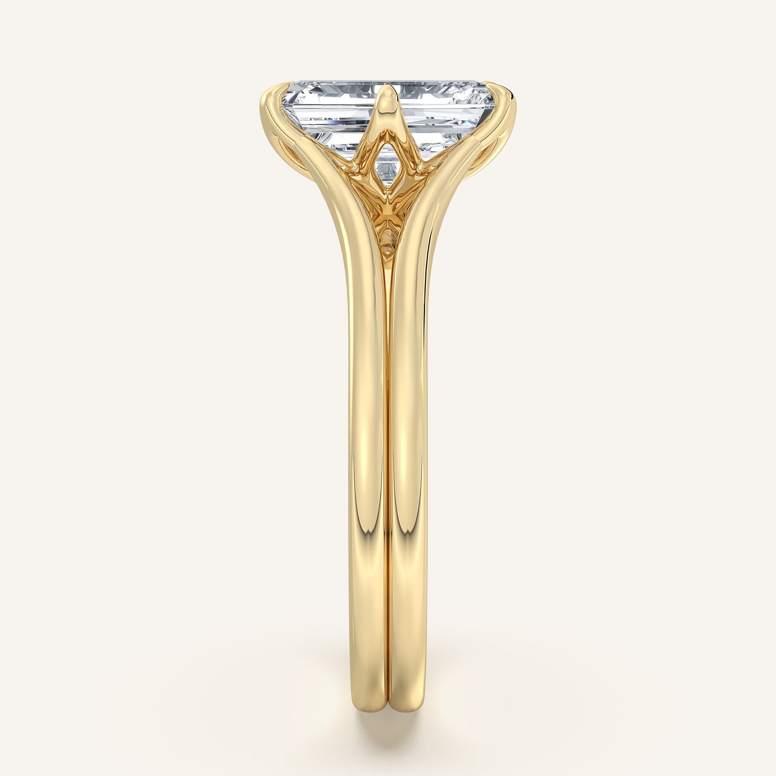 Doré — Double Band Tulip