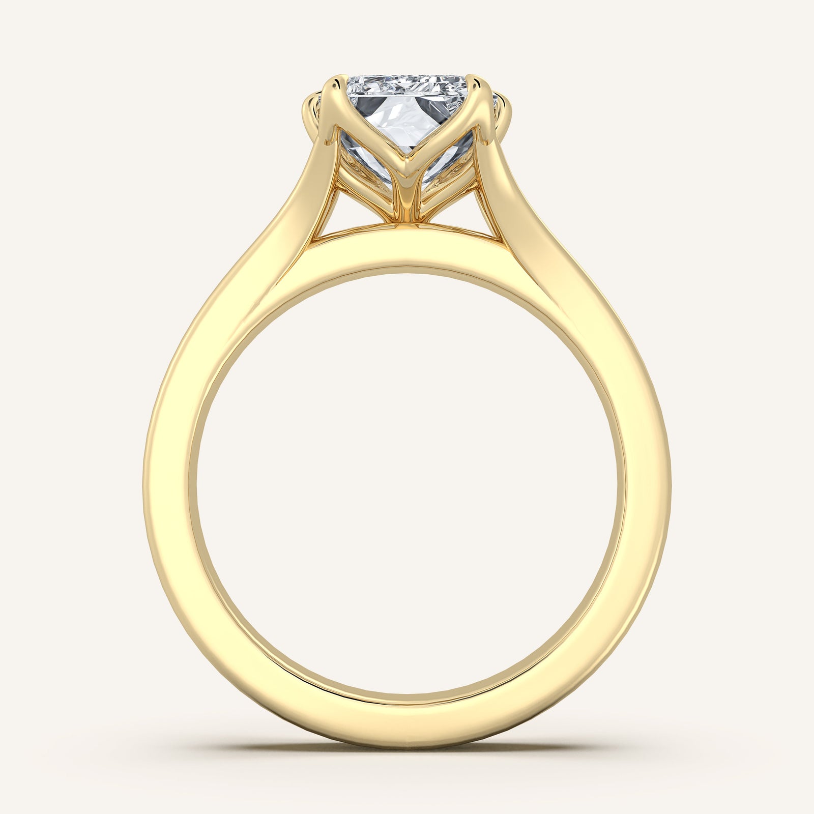 Doré — Double Band Tulip
