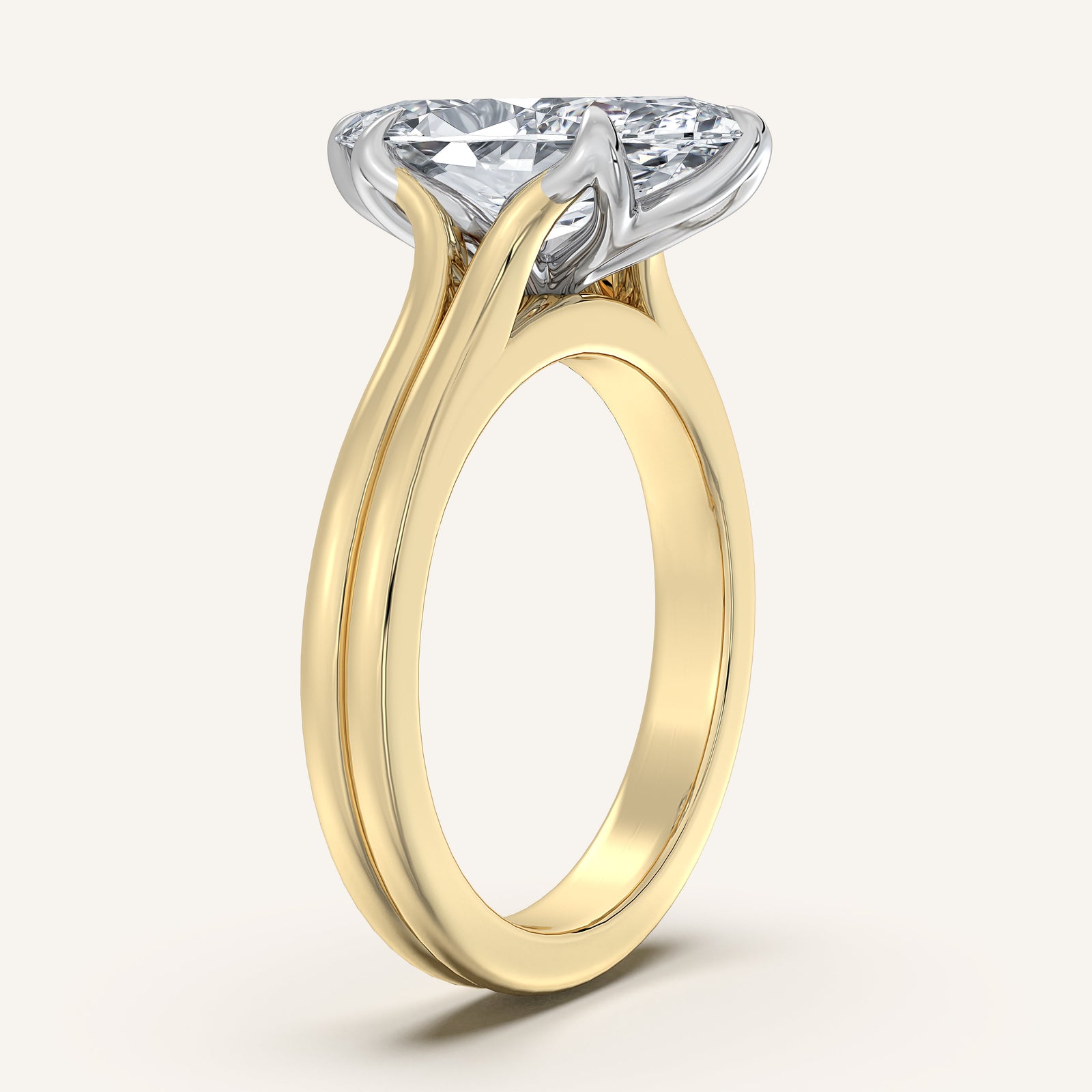 Doré — Double Band Tulip