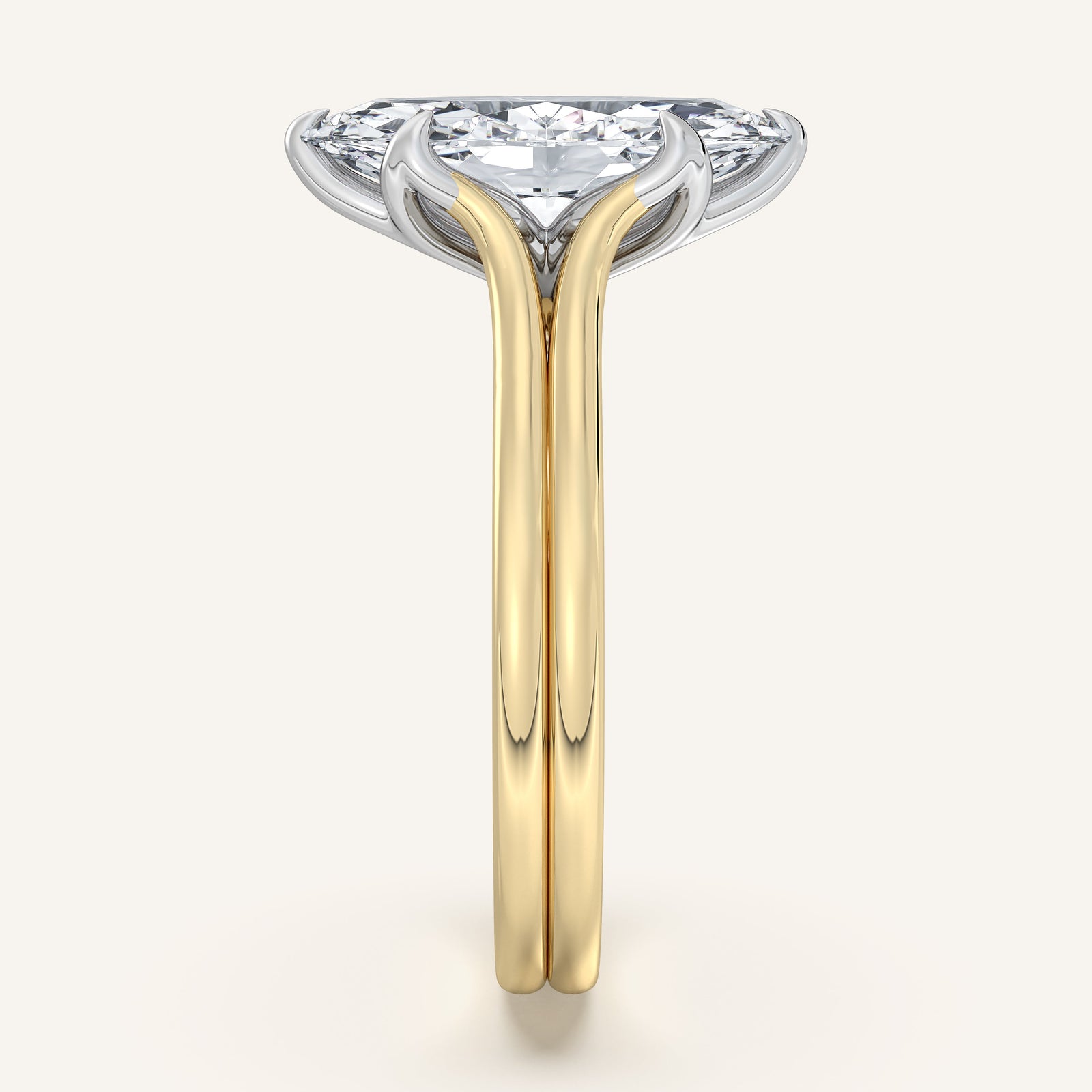 Doré — Double Band Tulip