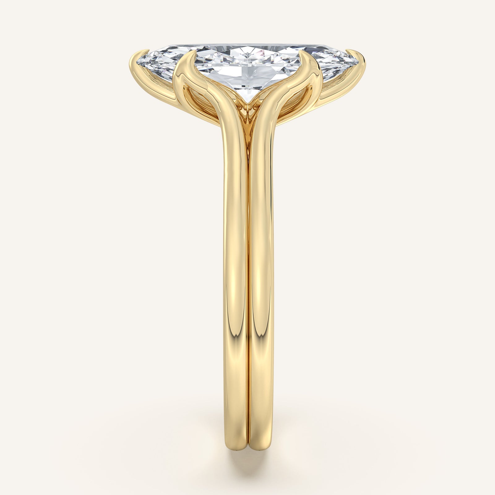 Doré — Double Band Tulip