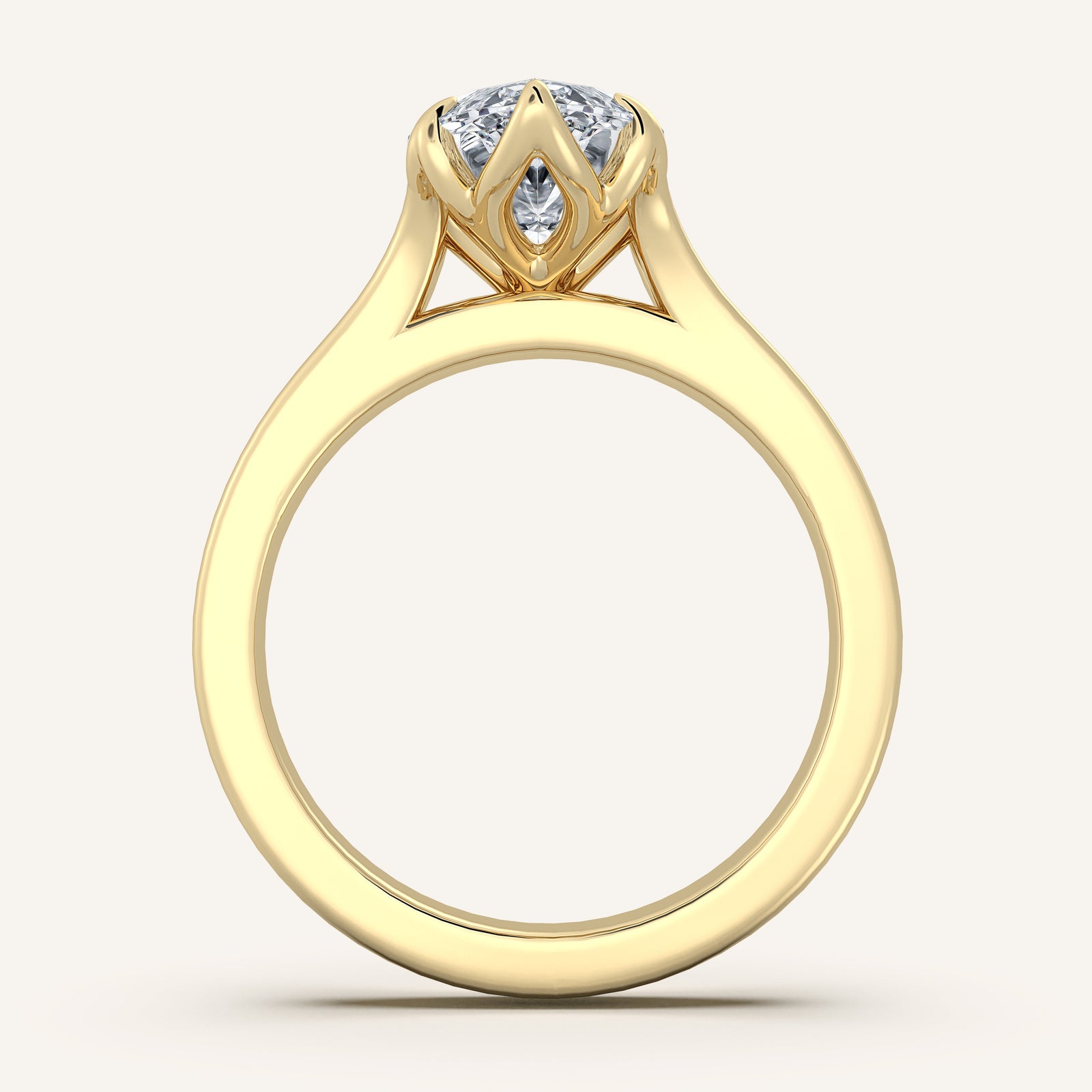 Doré — Double Band Tulip