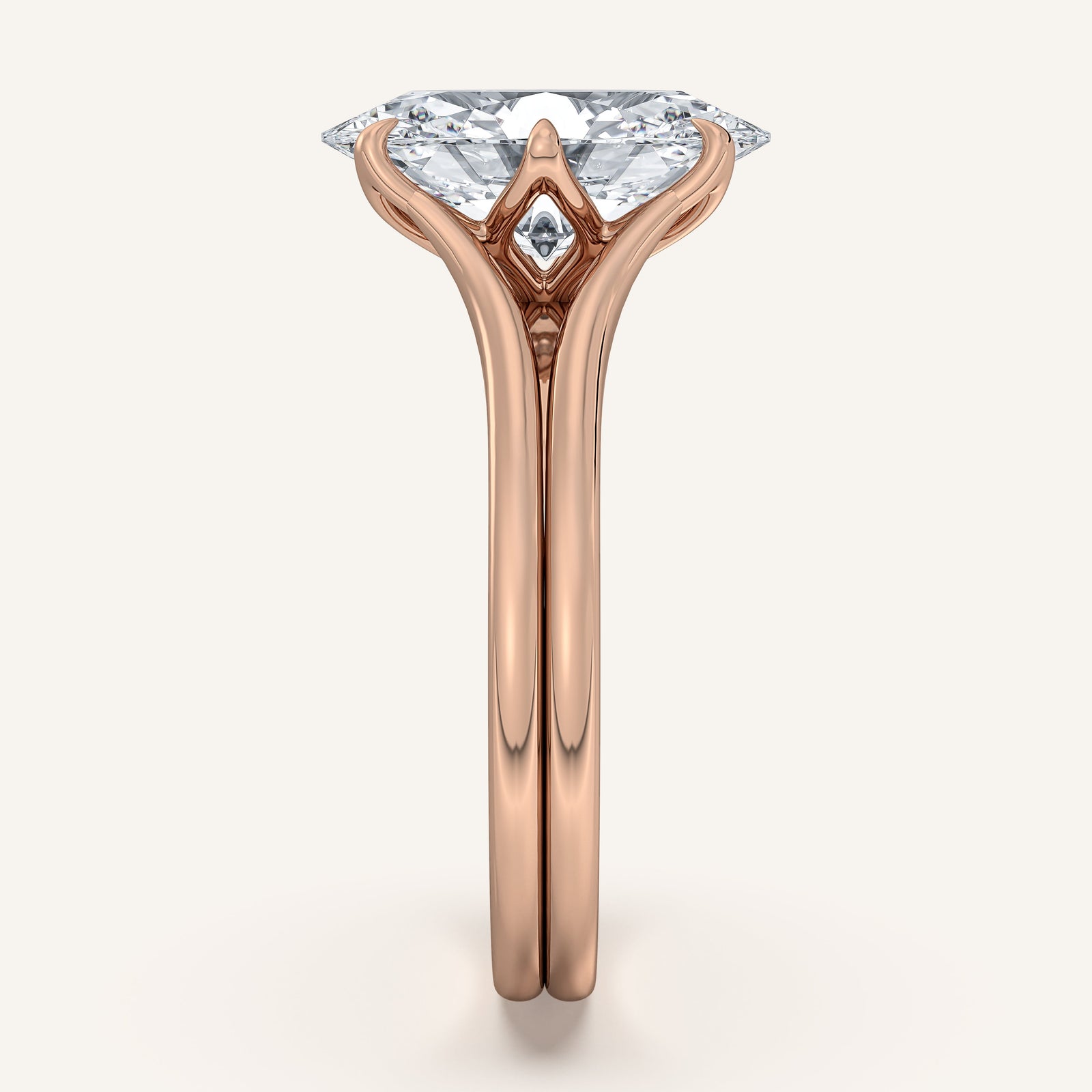 Doré — Double Band Tulip