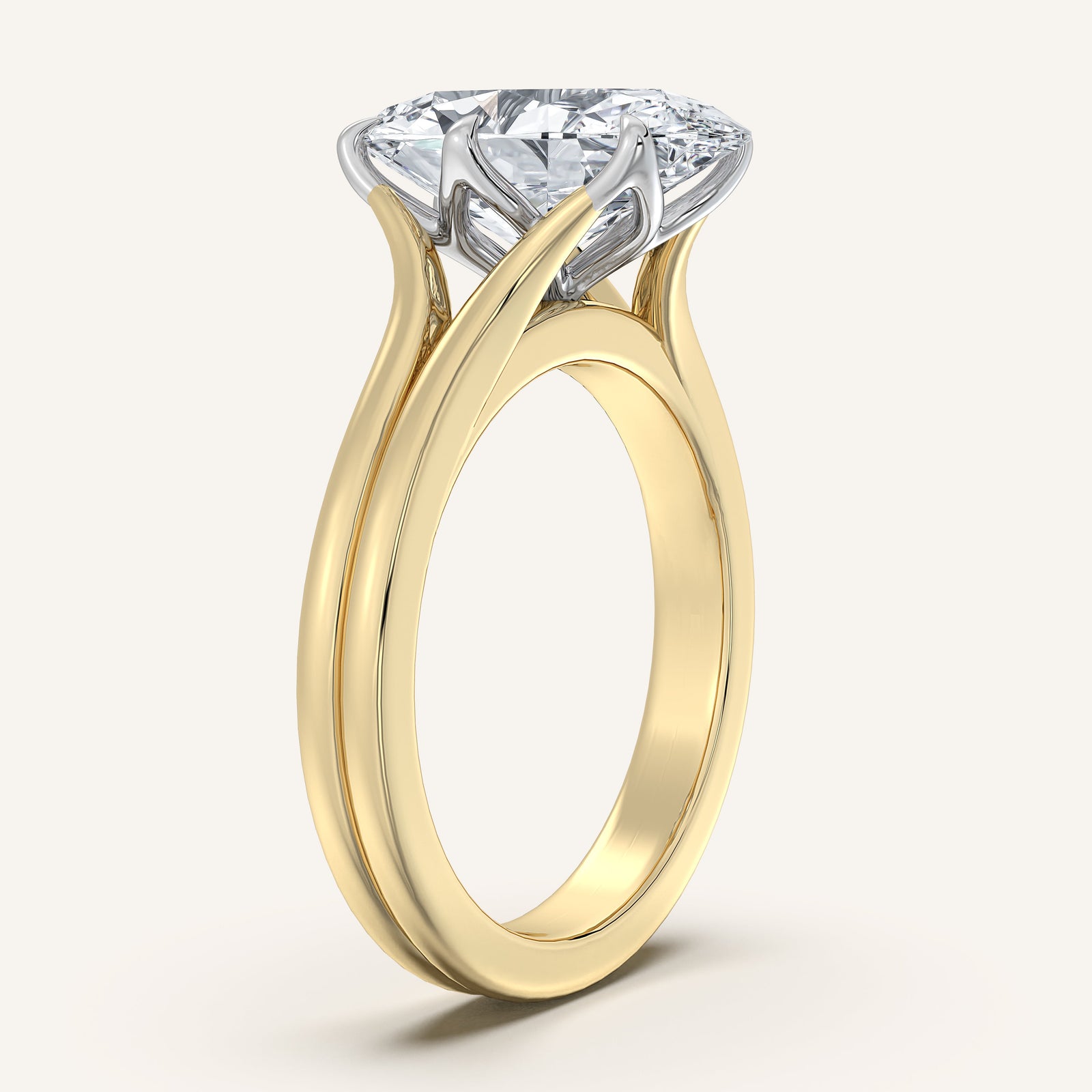 Doré — Double Band Tulip