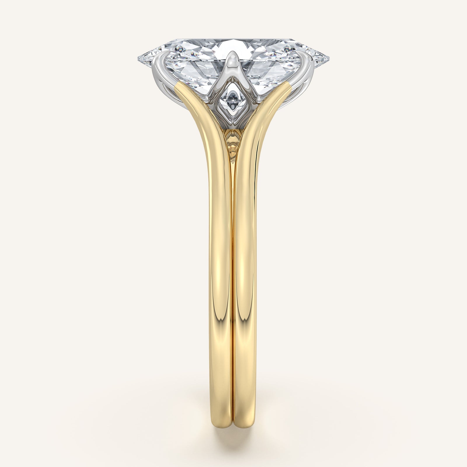 Doré — Double Band Tulip
