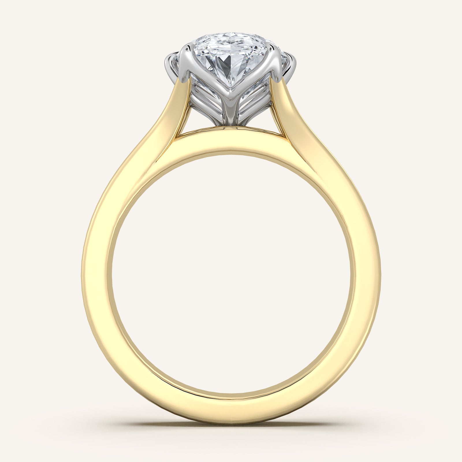 Doré — Double Band Tulip