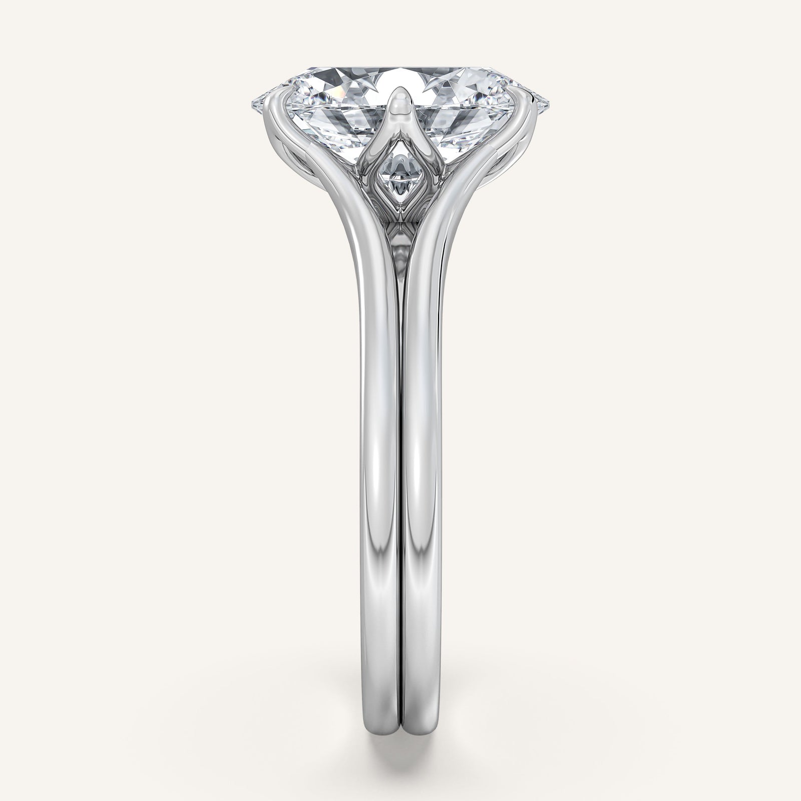 Doré — Double Band Tulip