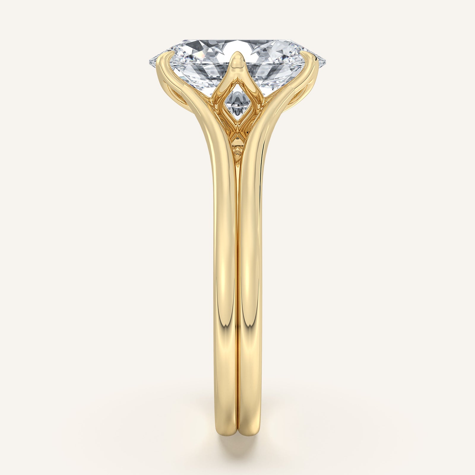 Doré — Double Band Tulip