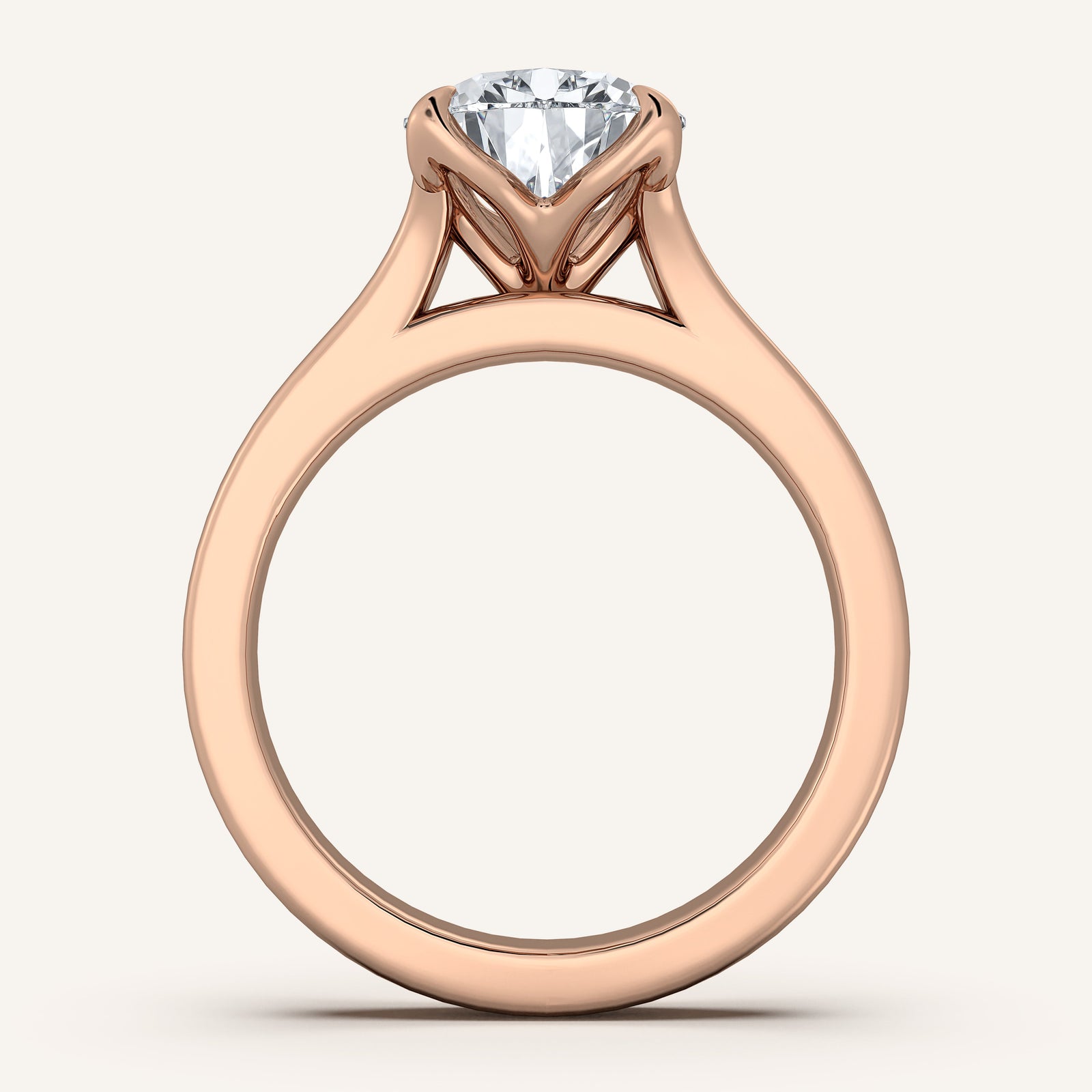 Doré — Double Band Tulip