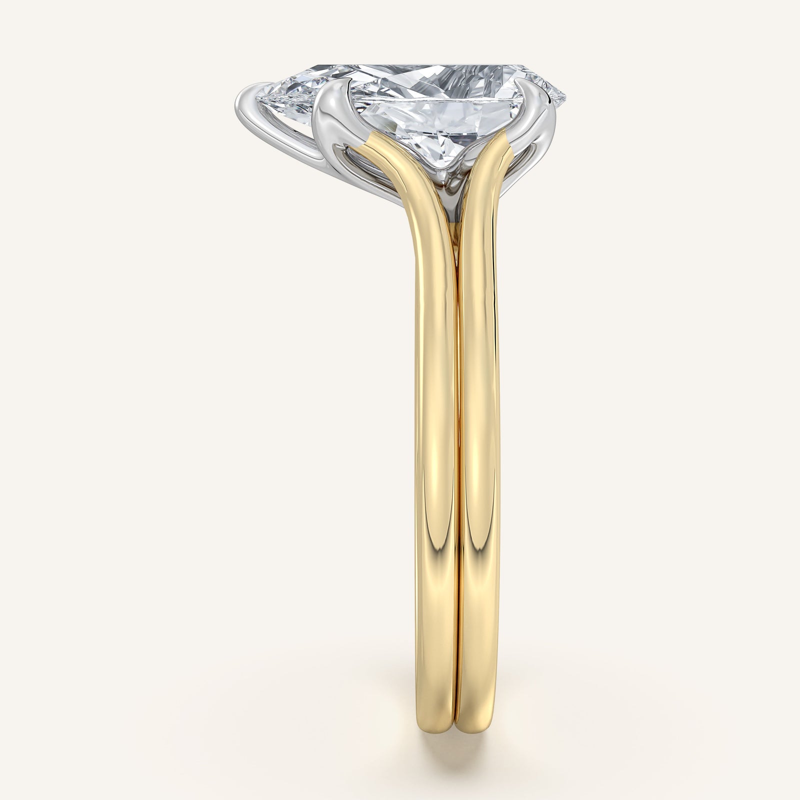Doré — Double Band Tulip