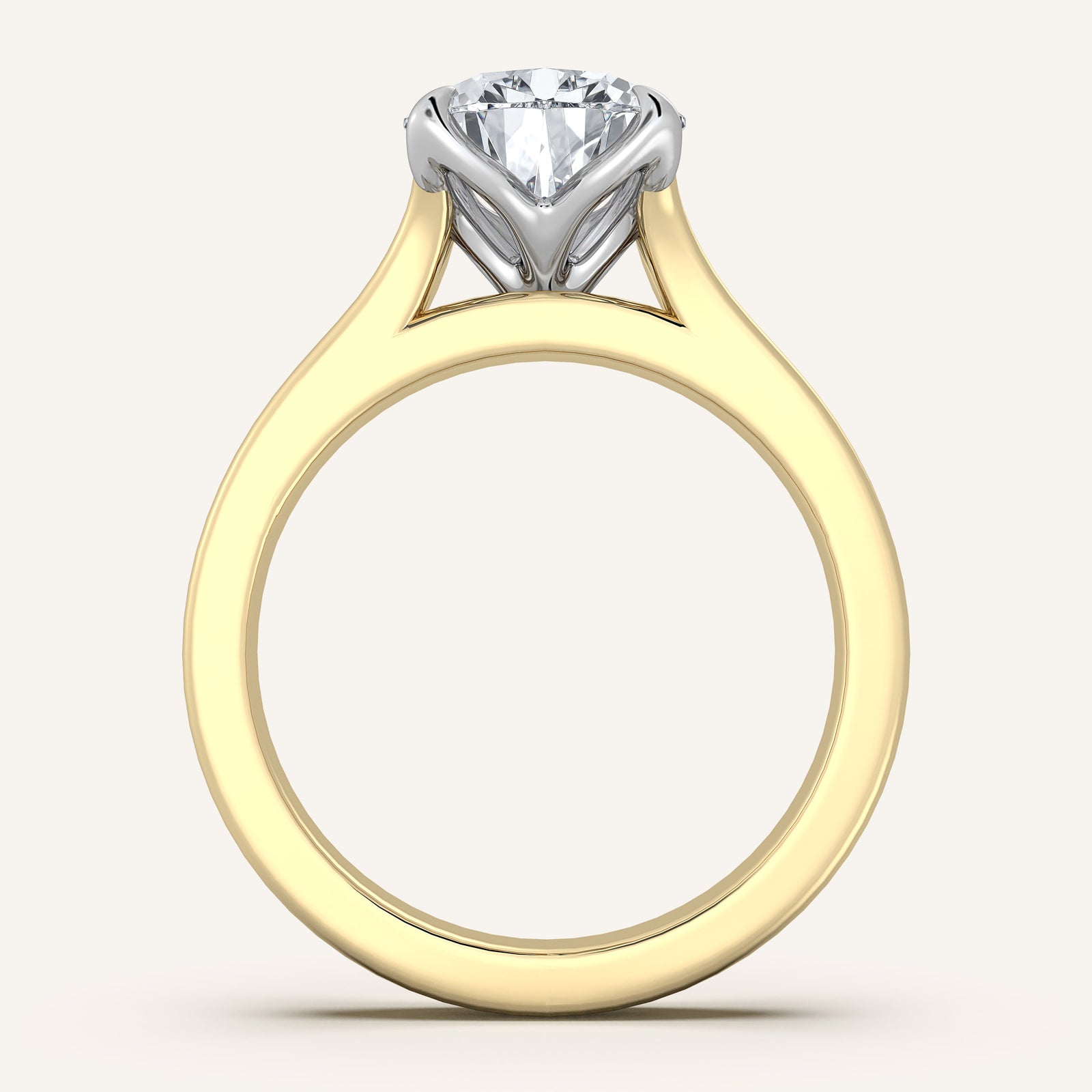 Doré — Double Band Tulip