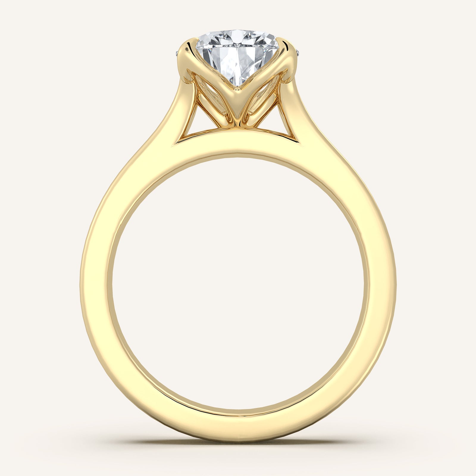 Doré — Double Band Tulip