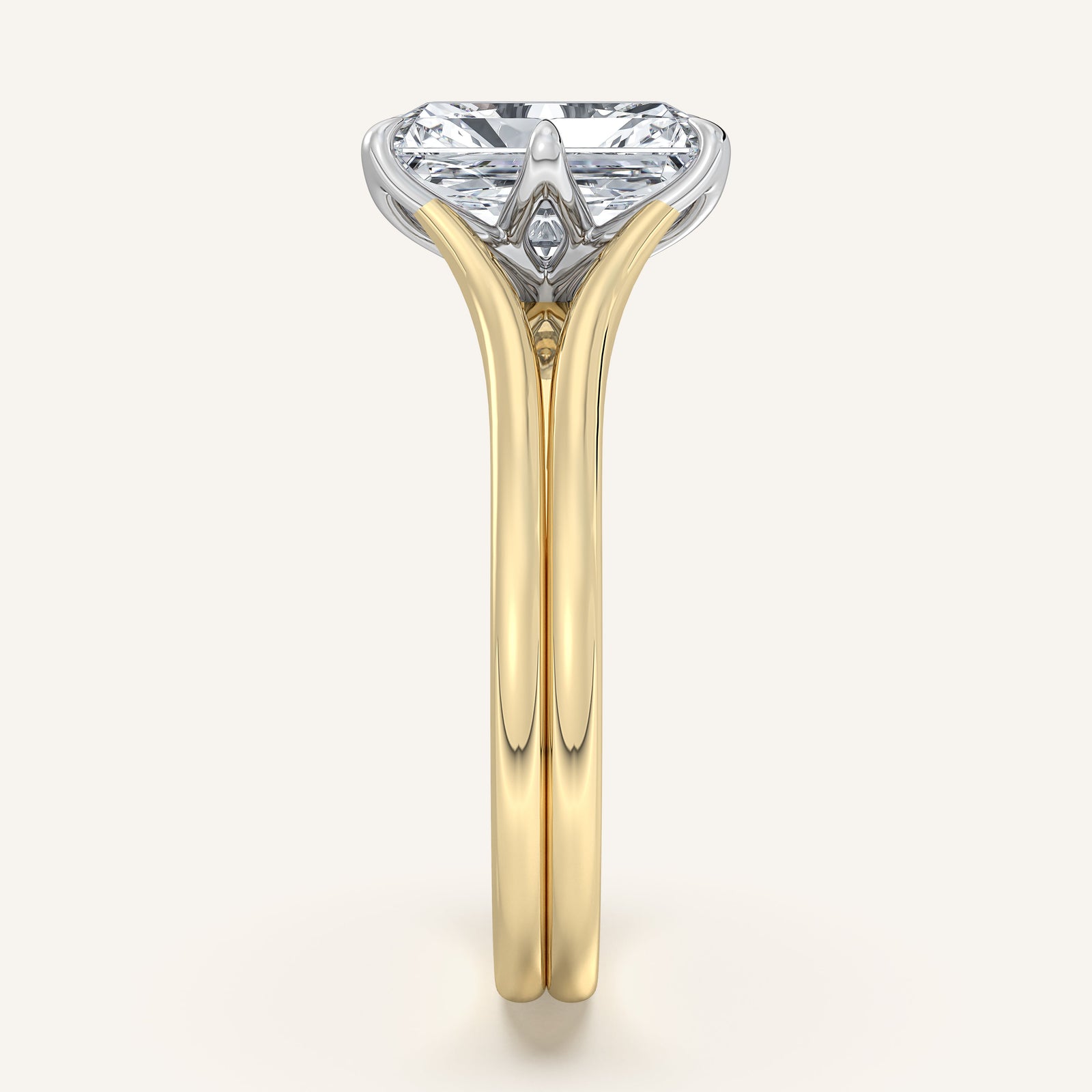 Doré — Double Band Tulip