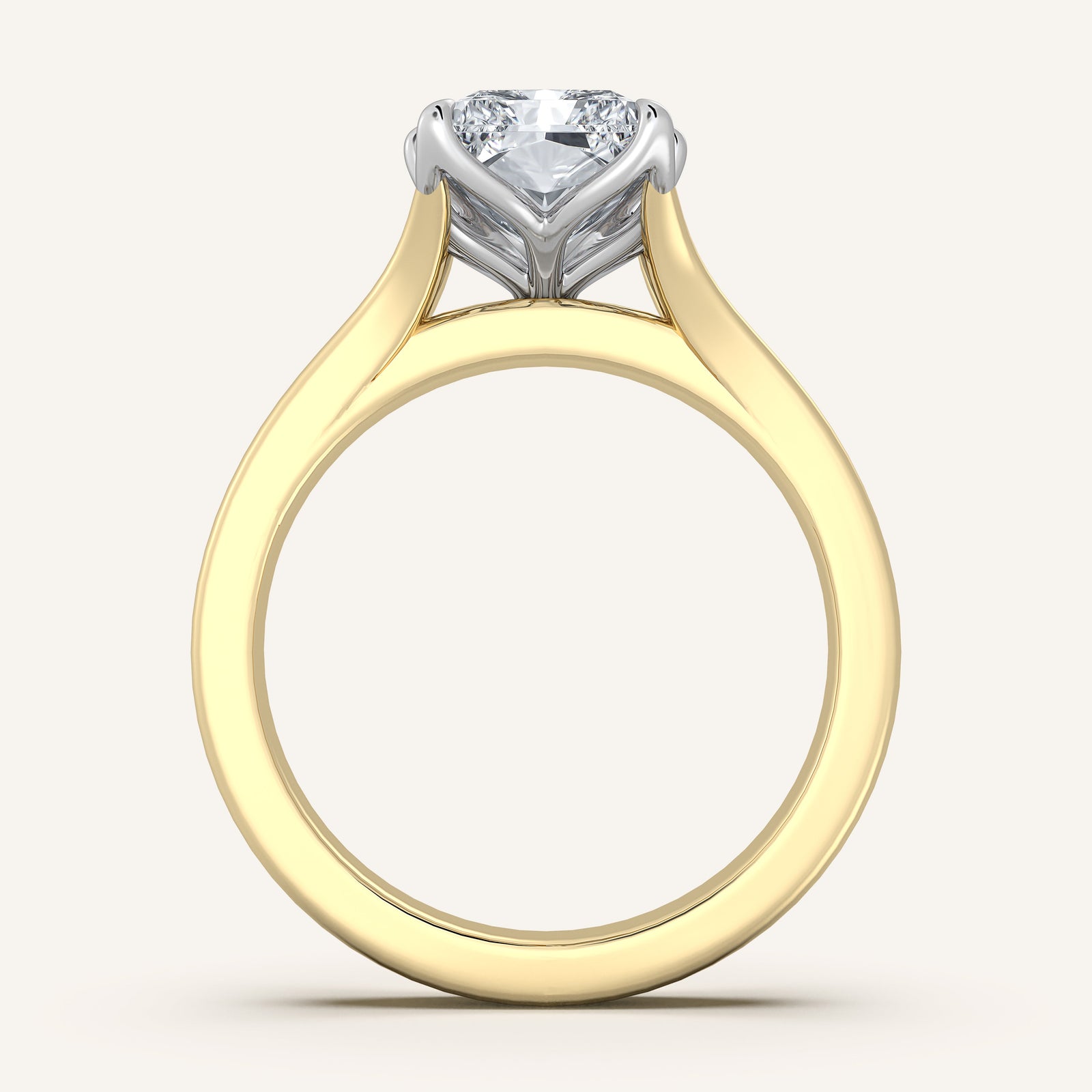 Doré — Double Band Tulip