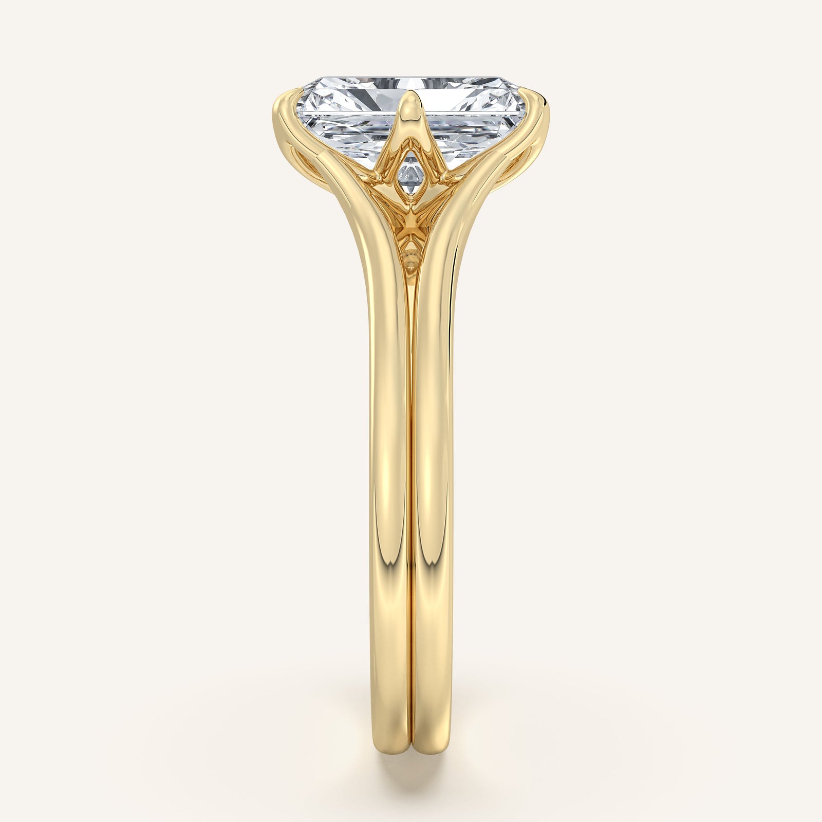 Doré — Double Band Tulip