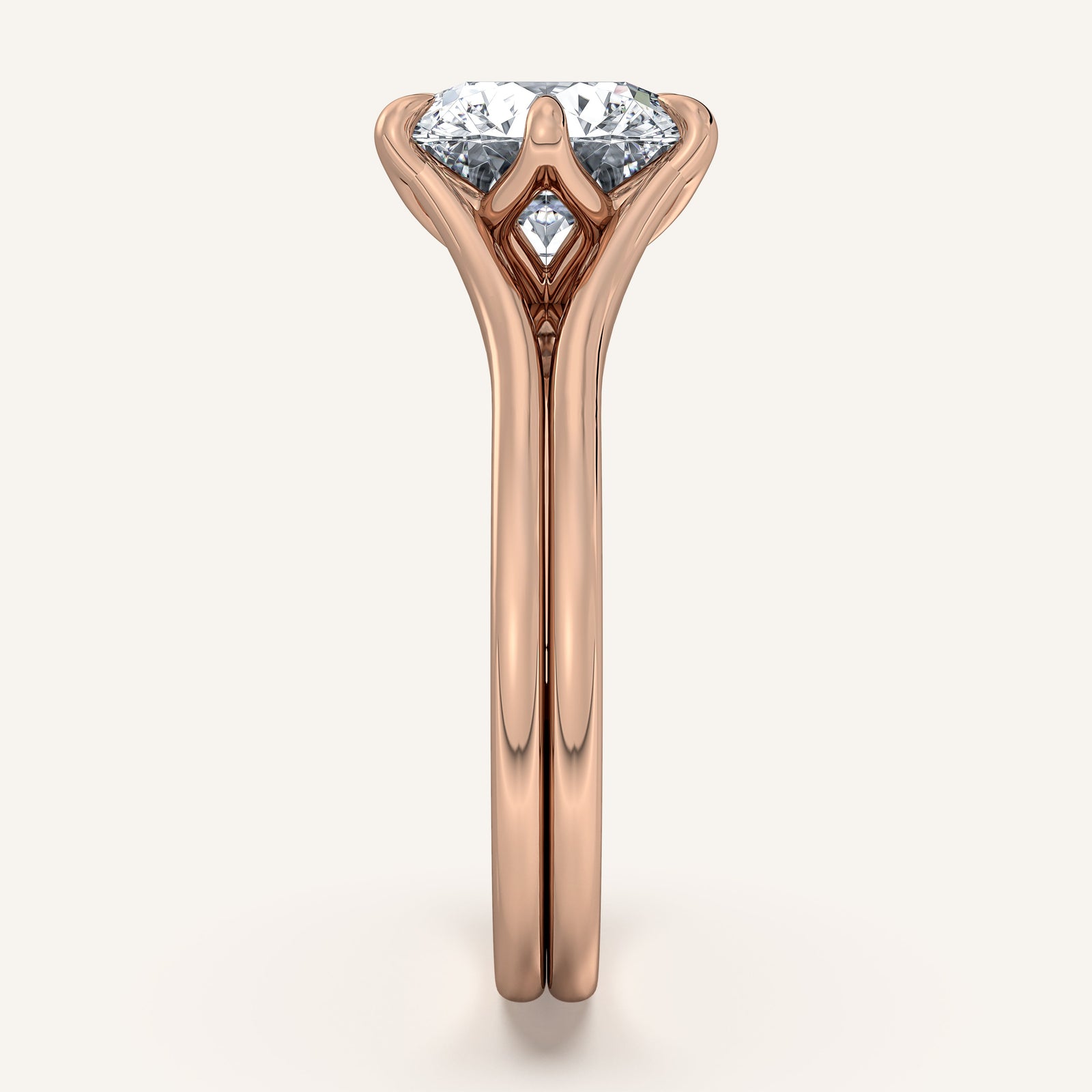 Doré — Double Band Tulip