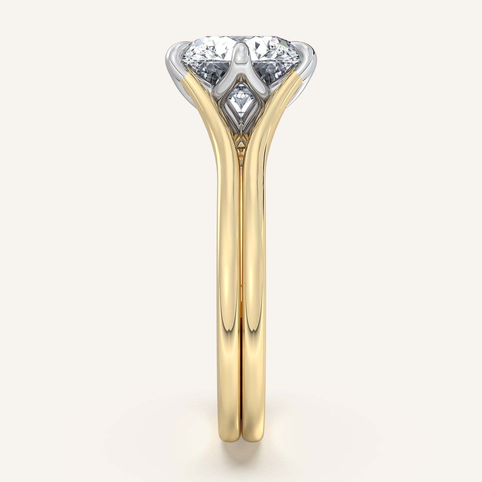 Doré — Double Band Tulip