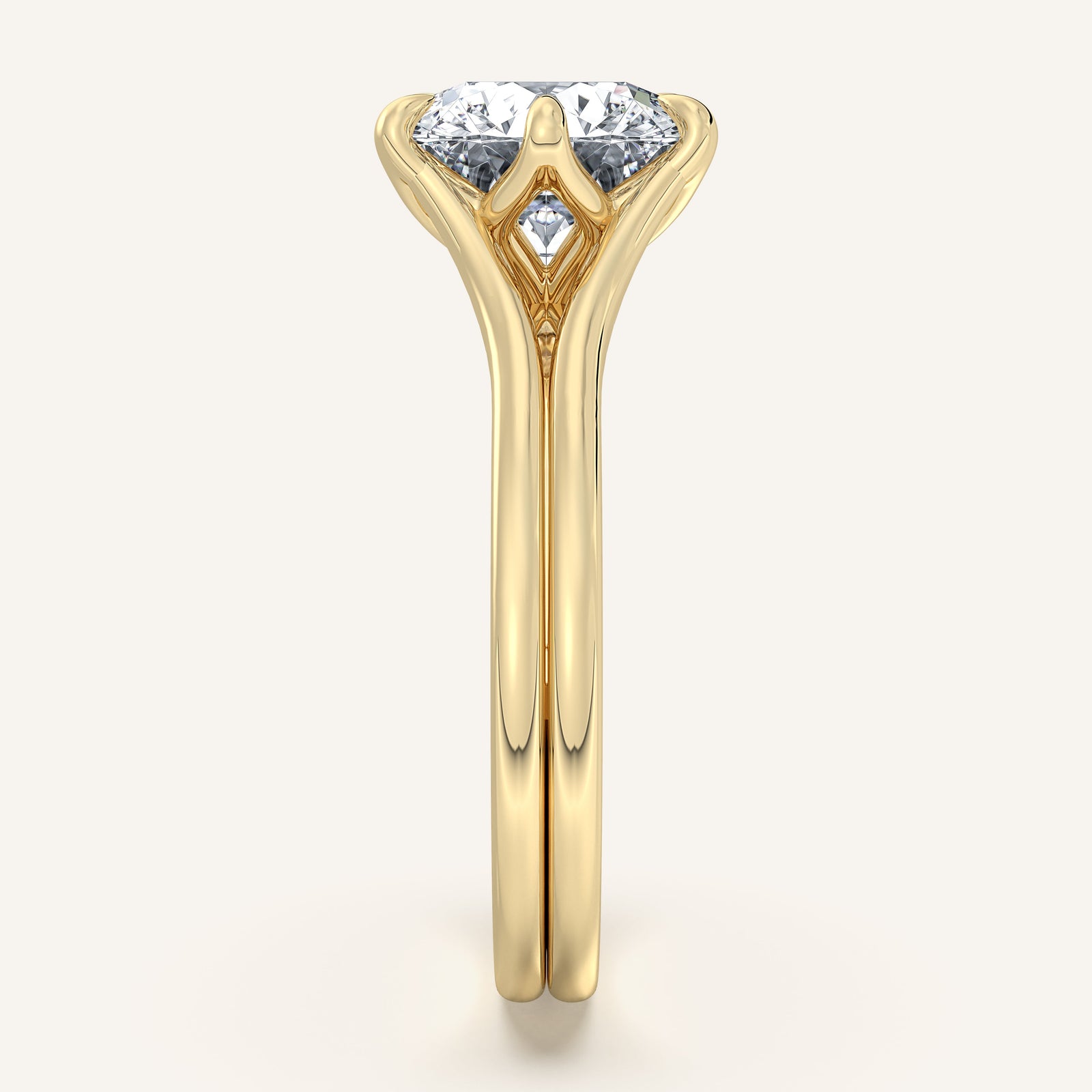 Doré — Double Band Tulip